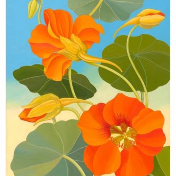 Pomegranate Siri Schillios Nasturtium Thank You Notes 8