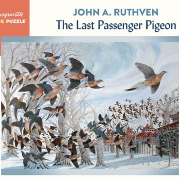 John A Ruthven The Last Passenger Pigeon 1000 Piece Jigsaw Puzzle