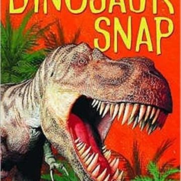 9780746064139 Dinosaur Snap Cards