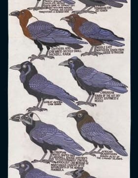 Ravens Bookmark Pomegranate