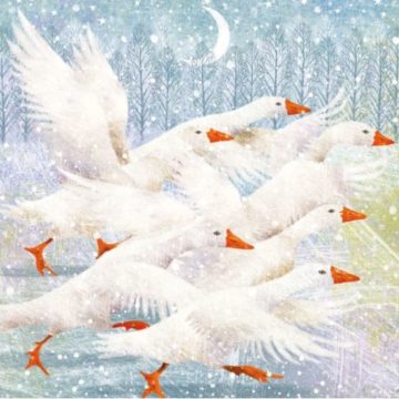 Christmas Card Pack Winter Geese