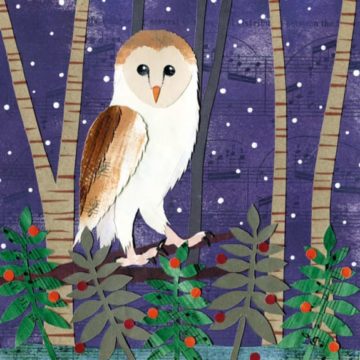 Christmas Card Pack Winter Owl