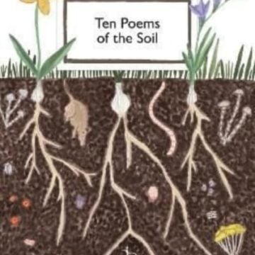 9781913627041 Poems Soil