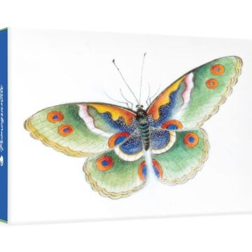 Notecards Butterfly