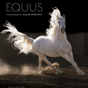 Cal 2024 Equus