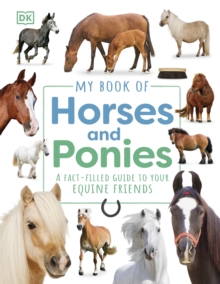 9780241655467 Dk.horses.ponies
