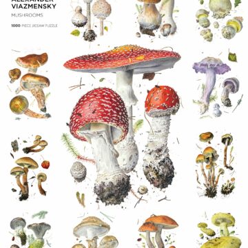 Mushrooms.aa1176
